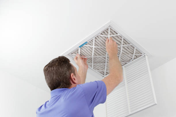 Best Mold and Mildew Removal from Ducts in Sheldon, IA